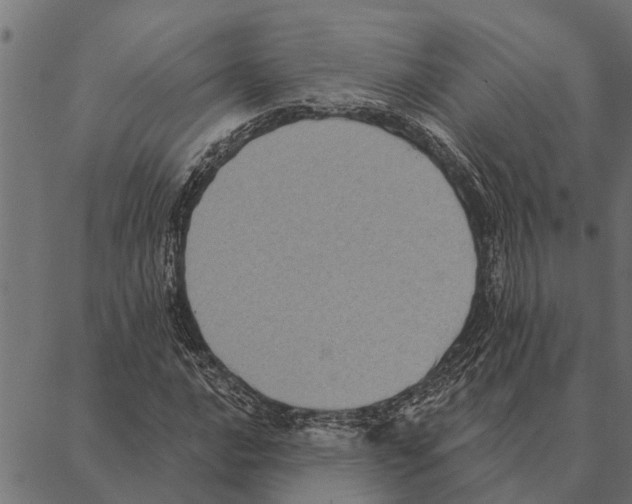 X0000087341016200705181056