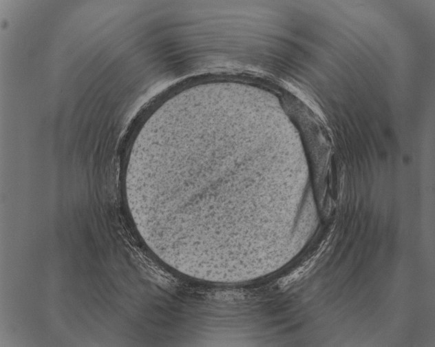 X0000087341021200705181056