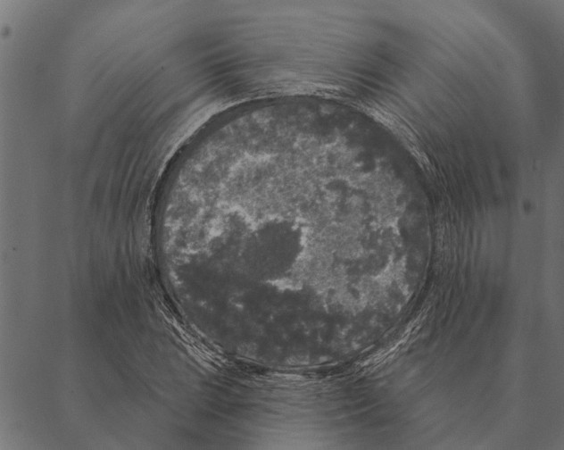 X0000087341023200705181056