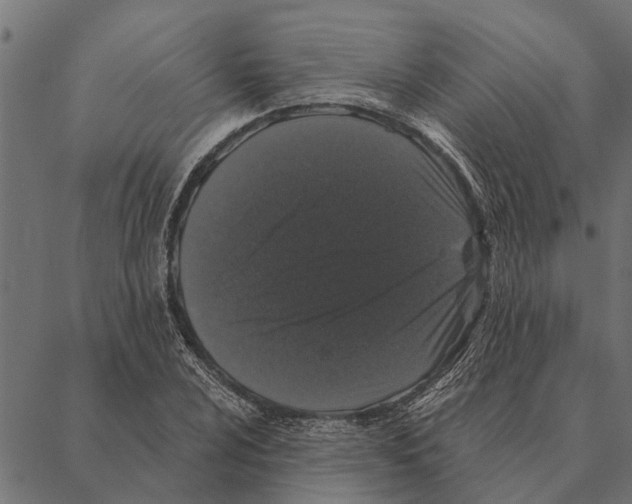 X0000087341024200705181056