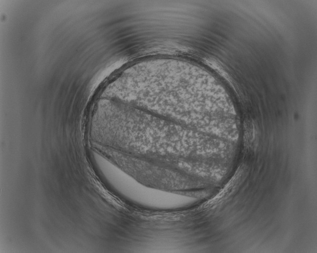 X0000087341026200705181056