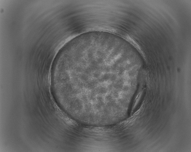 X0000087341028200705181056