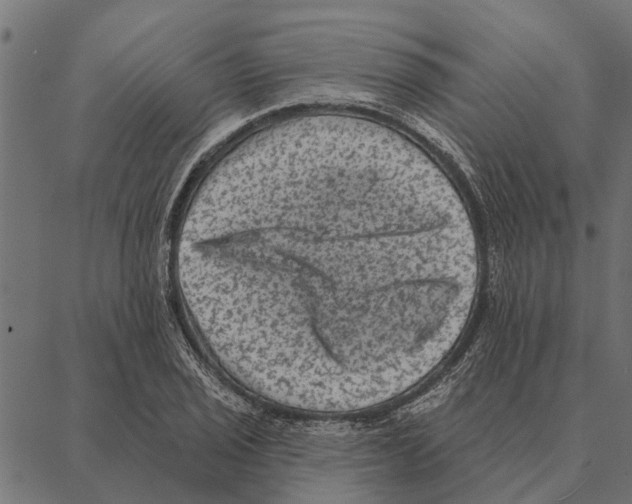 X0000087341029200705181056