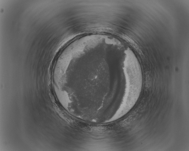 X0000087341031200705181056