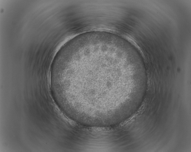 X0000087341032200705181056