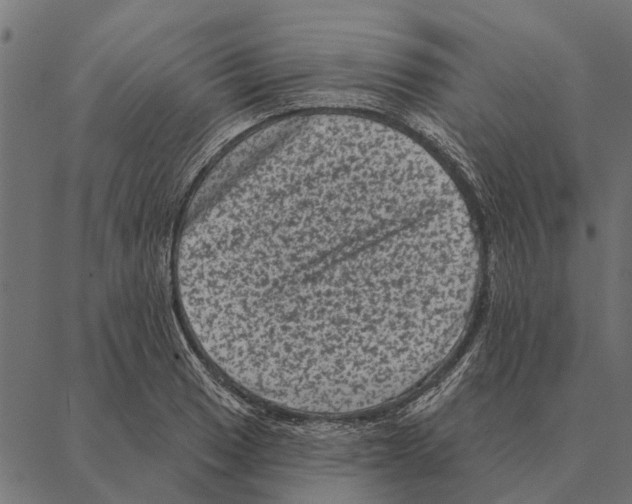 X0000087341033200705181056