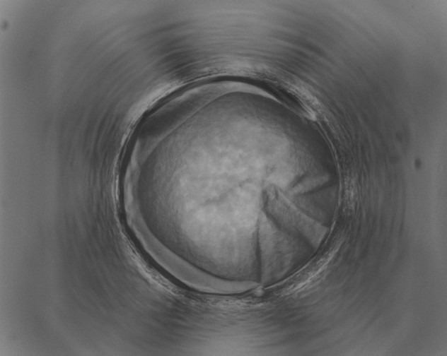 X0000087341034200705181056