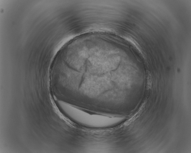 X0000087341038200705181056