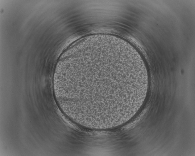 X0000087341041200705181056