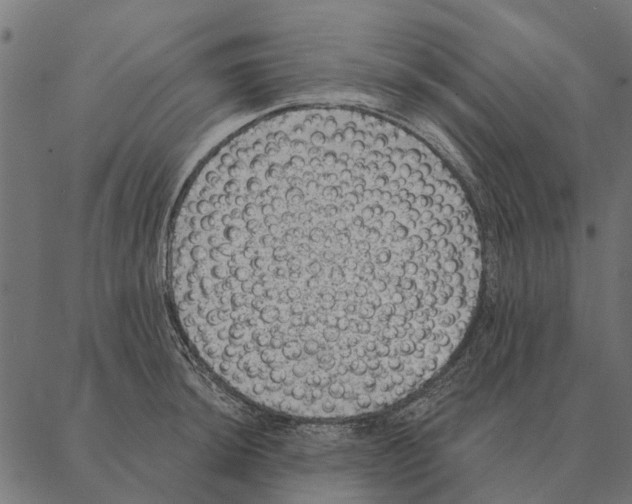 X0000087341044200705181056