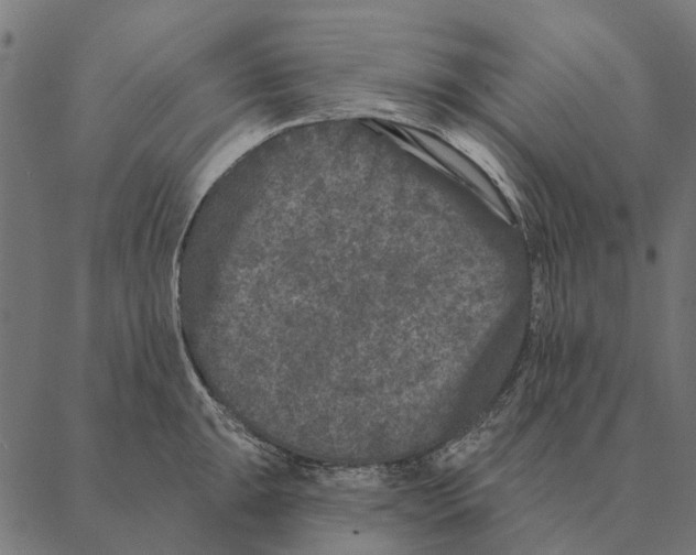 X0000087341047200705181056