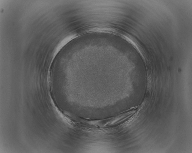 X0000087341050200705181056