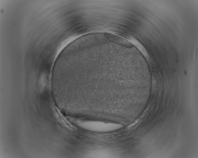 X0000087341052200705181056