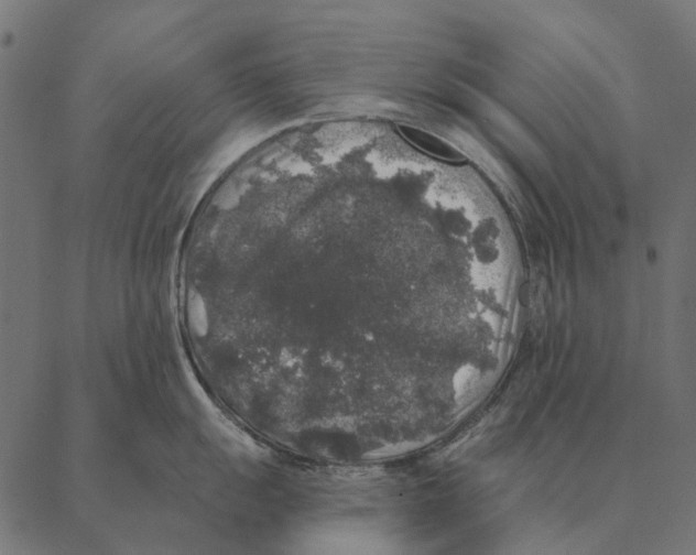 X0000087341055200705181056