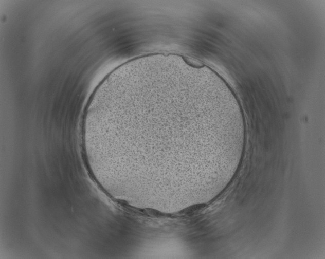 X0000087341056200705181056