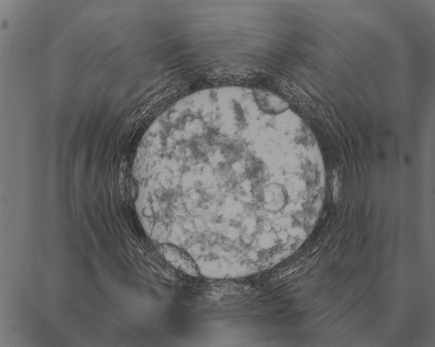 X0000087341059200705181056