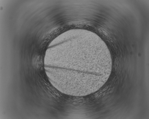 X0000087341062200705181055
