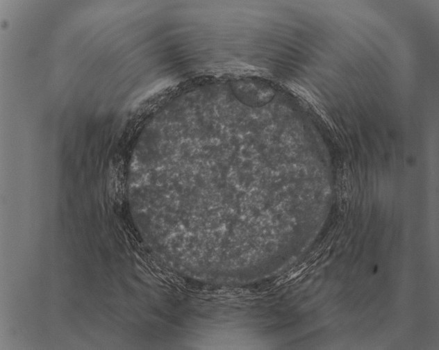 X0000087341063200705181055