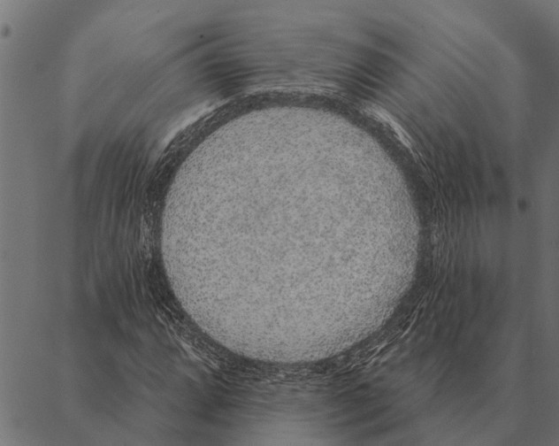 X0000087341064200705181055