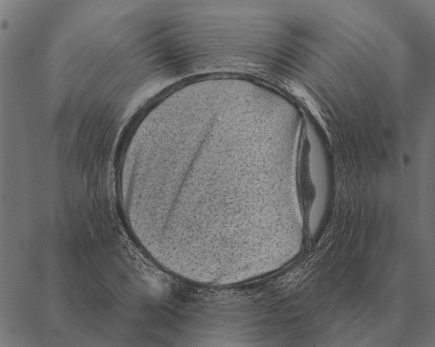 X0000087341072200705181055