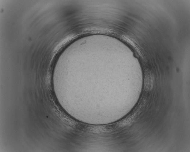 X0000087341074200705181055