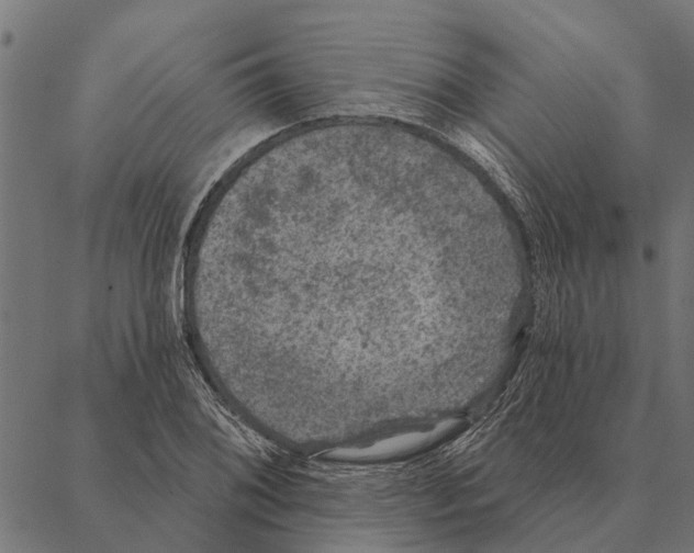 X0000087341076200705181055