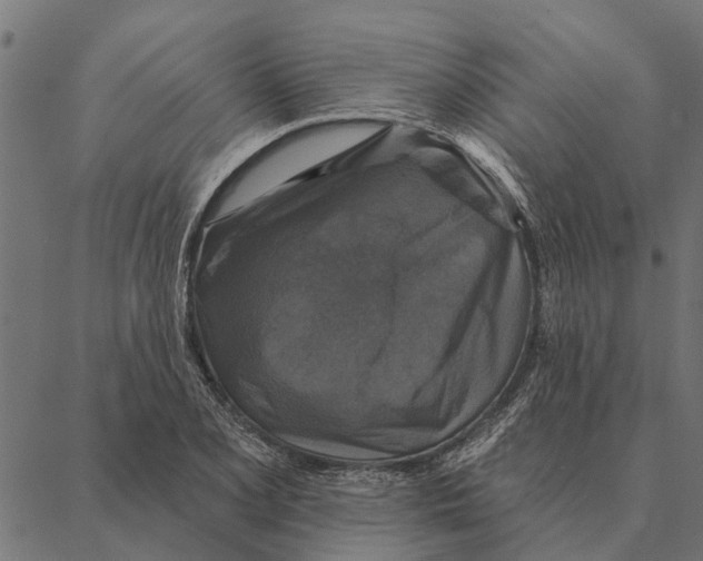 X0000087341077200705181055