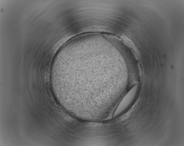 X0000087341081200705181055