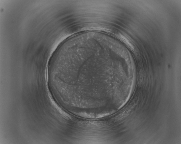 X0000087341084200705181055