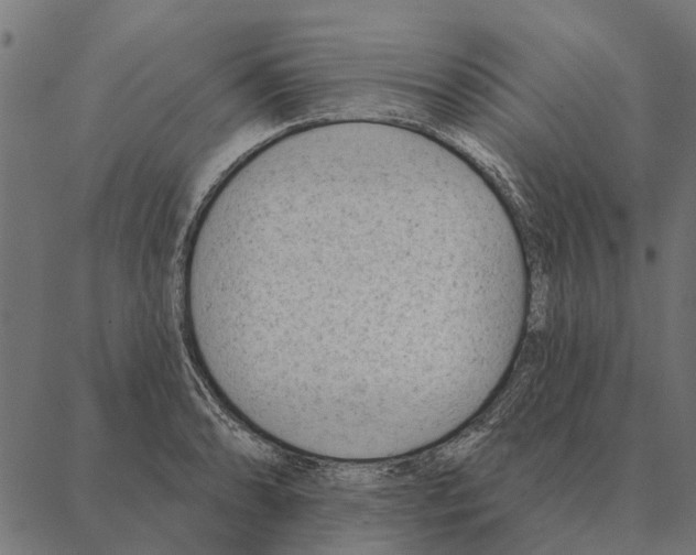 X0000087341086200705181055