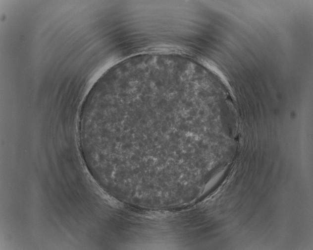 X0000087341091200705181055