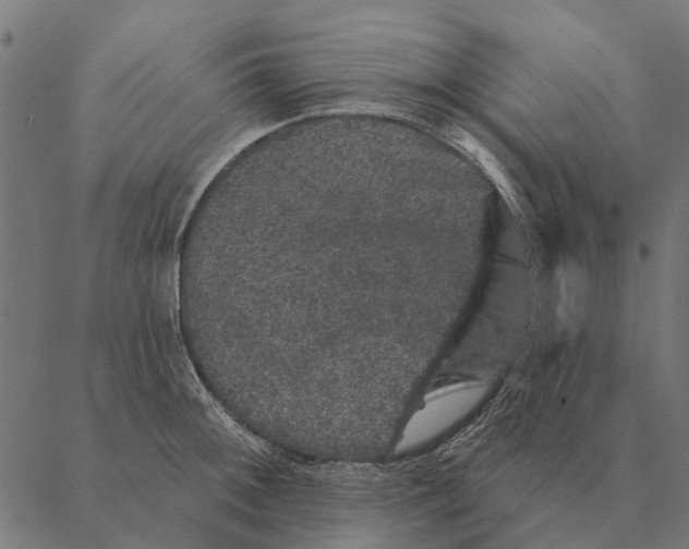 X0000087341092200705181055