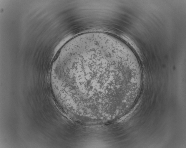 X0000087341097200705181055