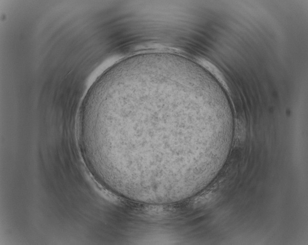 X0000087341098200705181055