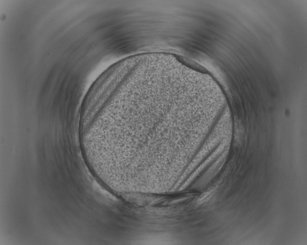 X0000087341102200705181055