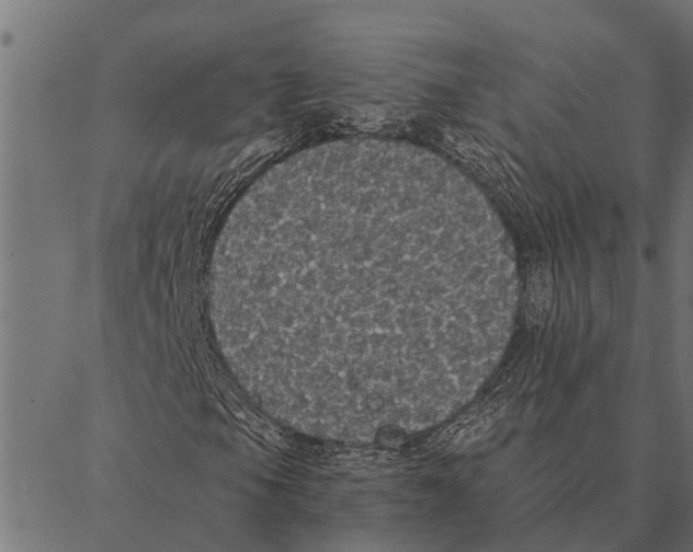 X0000087341105200705181054