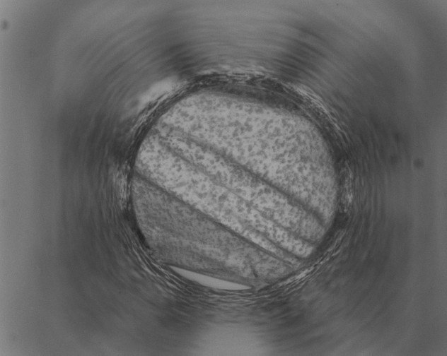 X0000087341110200705181054