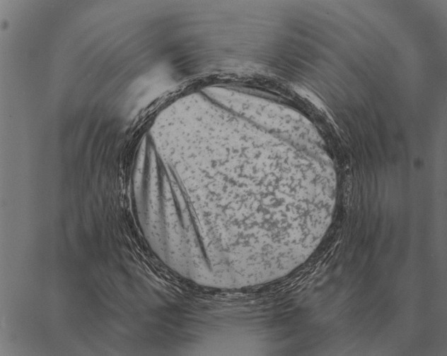 X0000087341112200705181054