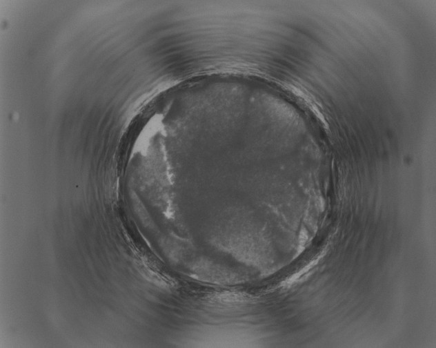 X0000087341117200705181054