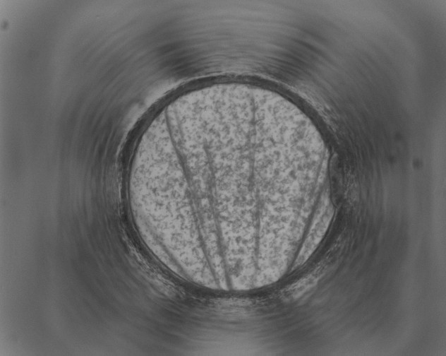 X0000087341118200705181054