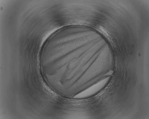 X0000087341120200705181054