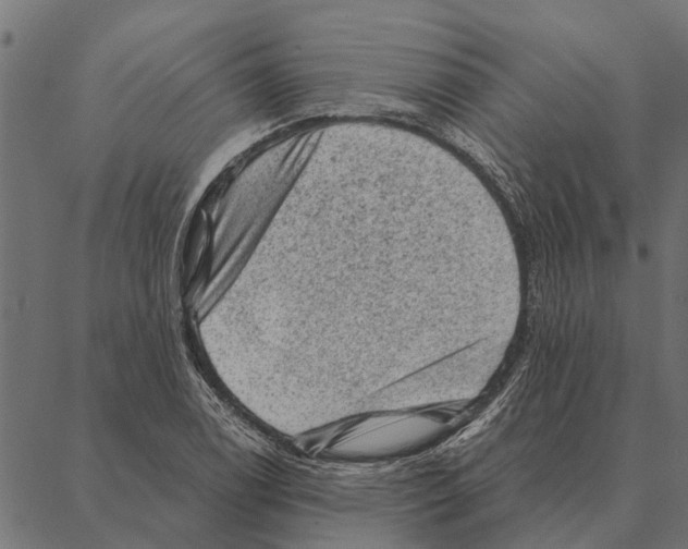 X0000087341122200705181054