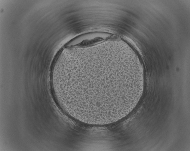 X0000087341133200705181054