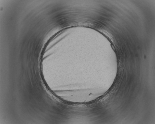 X0000087341135200705181054