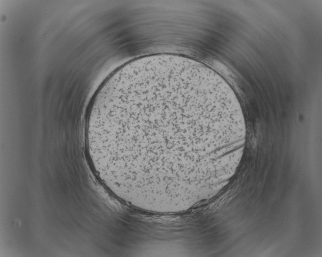 X0000087341140200705181055