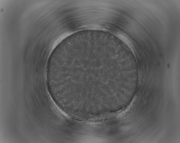 X0000087341141200705181055