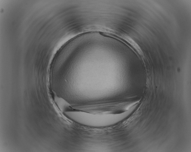 X0000087341144200705181055