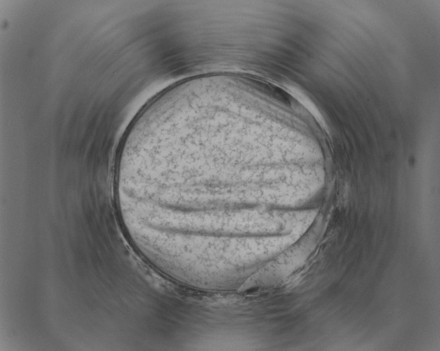 X0000087341148200705181055