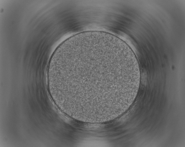 X0000087341150200705181055