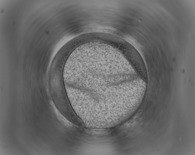 X0000087341152200705181055